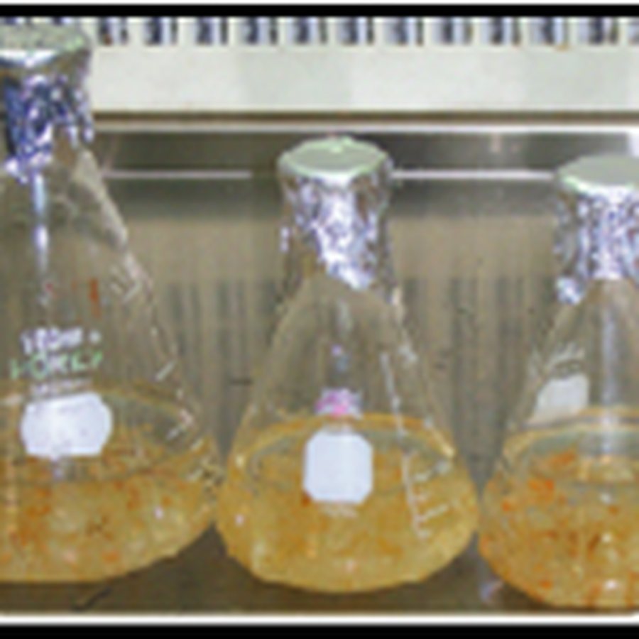 Laboratory
